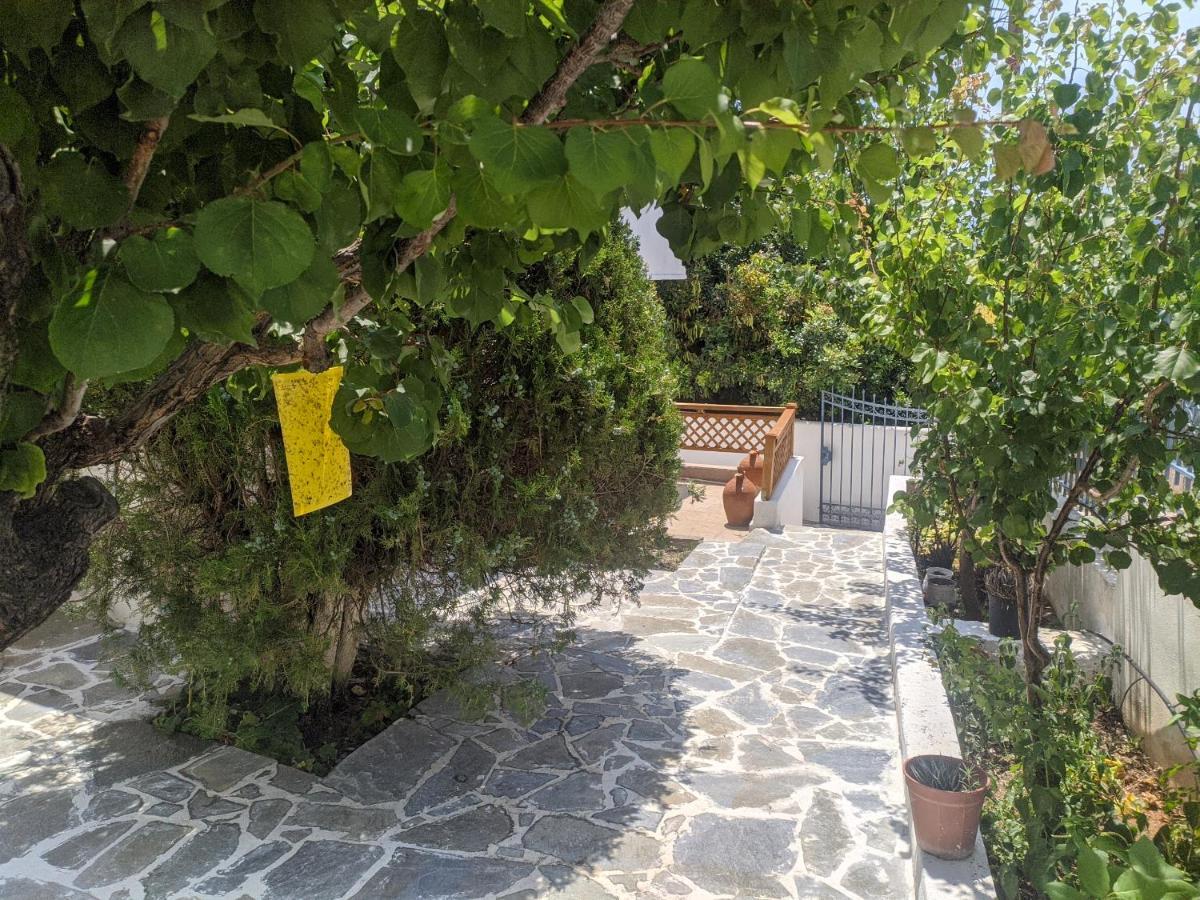 Villa Iliakti Relaxing Seaside à Salamine Extérieur photo
